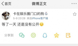 吃瓜爆料文字版,揭秘娱乐圈幕后真相